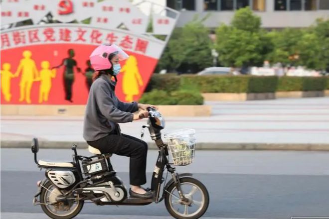 女子因电动自行车罚款状告市政府，一起关于交通法规与个人权益的较量