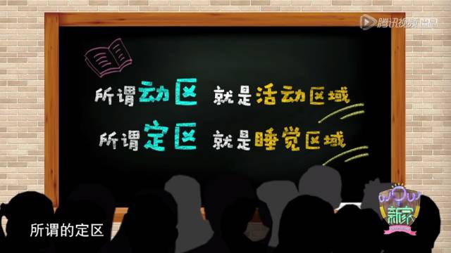 挑战爆改老妈，一场温馨的改造风暴来袭！掀起家庭变革的浪潮，你敢接受吗？揭秘背后的故事与法规考量。