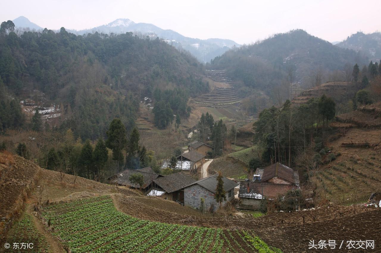 土地承包为何要延长三十年