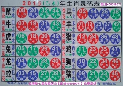 惊爆！2025十二生肖49码表神秘出炉，纪念版19.300暗藏玄机，澳门独家揭秘！