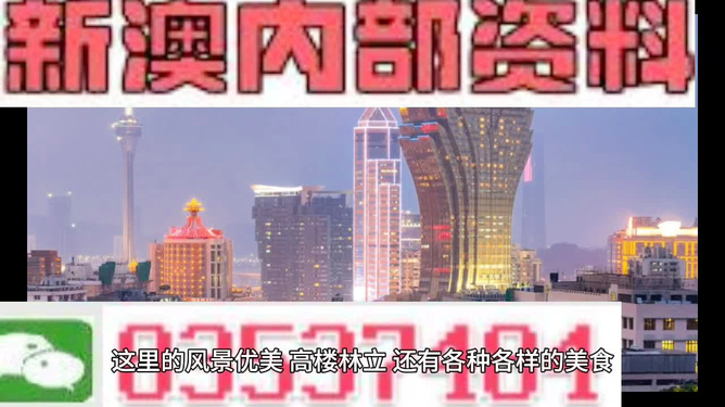 惊爆！2025新奥精准资料免费大全曝光，精英款15.920竟是成功之路的终极密码？