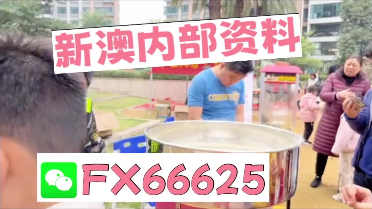 震撼揭秘！新澳尊享版19.34三、历史传承与文化密码，真相竟藏在这些细节中！