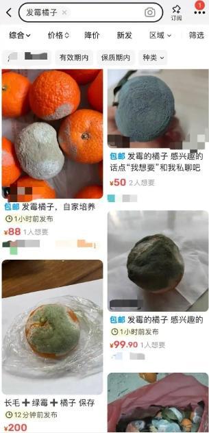 发霉橘子在二手平台卖到近600元